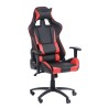 fauteuil SPORTING